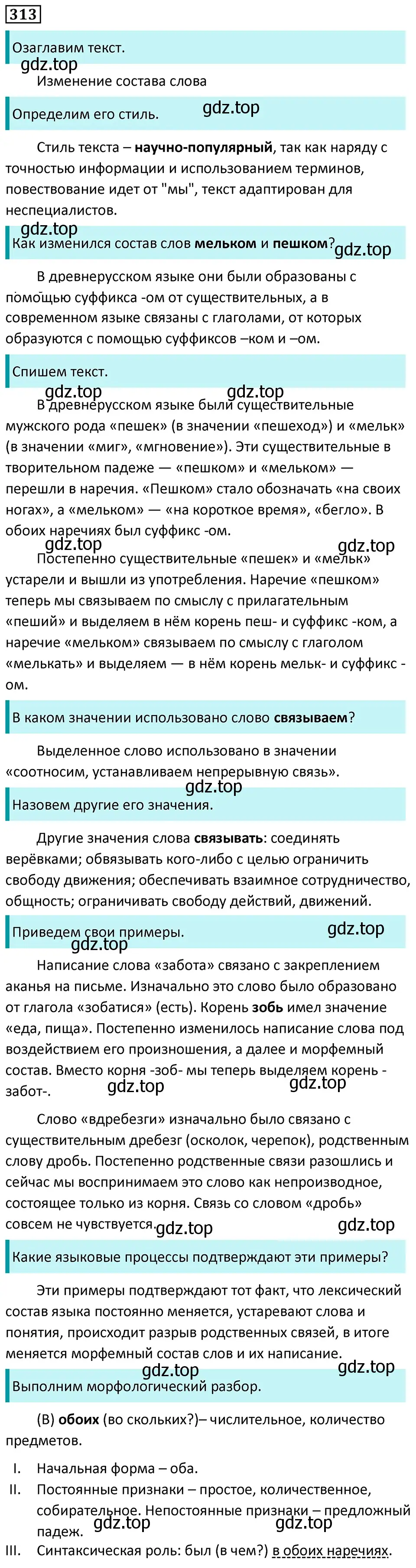 Решение 5. номер 313 (страница 183) гдз по русскому языку 7 класс Ладыженская, Баранов, учебник 1 часть