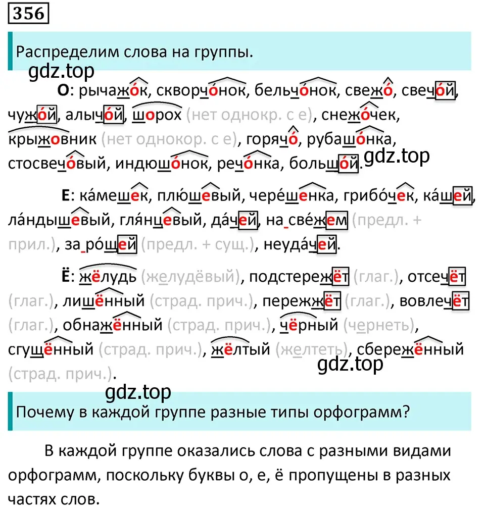 Решение 5. номер 356 (страница 205) гдз по русскому языку 7 класс Ладыженская, Баранов, учебник 1 часть