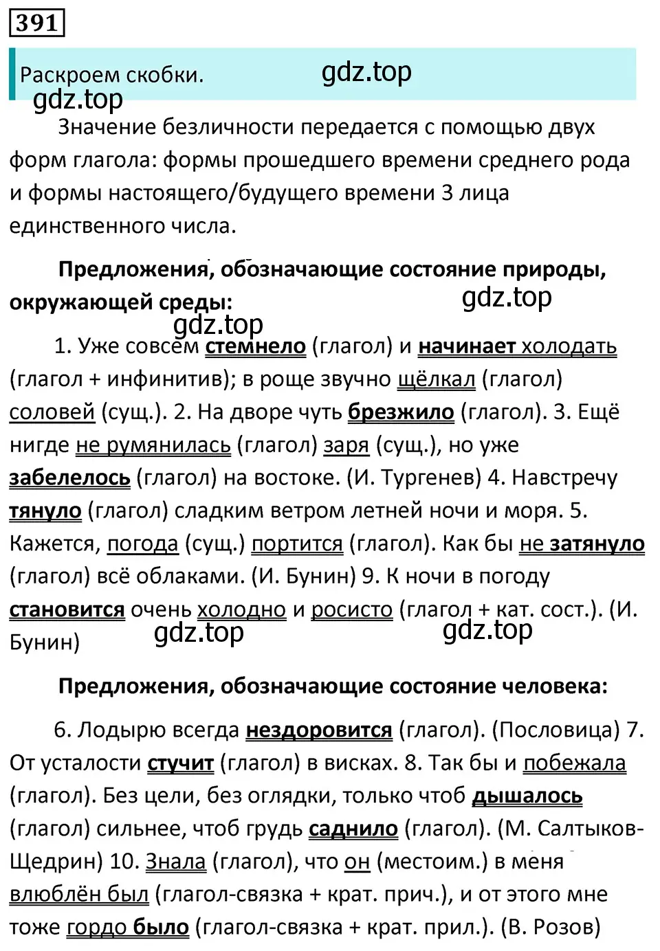 Решение 5. номер 391 (страница 4) гдз по русскому языку 7 класс Ладыженская, Баранов, учебник 2 часть