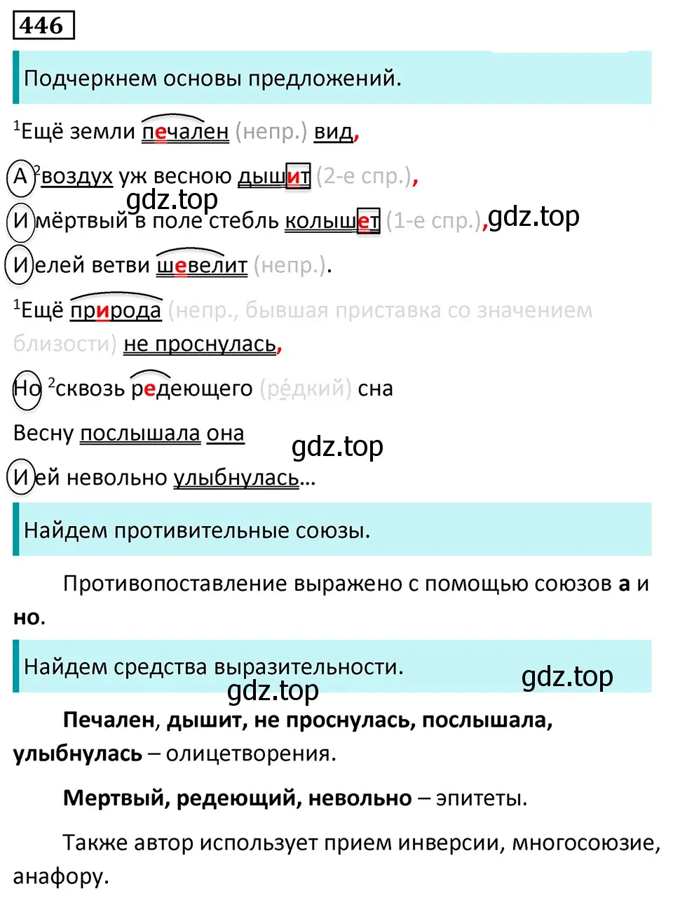 Решение 5. номер 446 (страница 45) гдз по русскому языку 7 класс Ладыженская, Баранов, учебник 2 часть