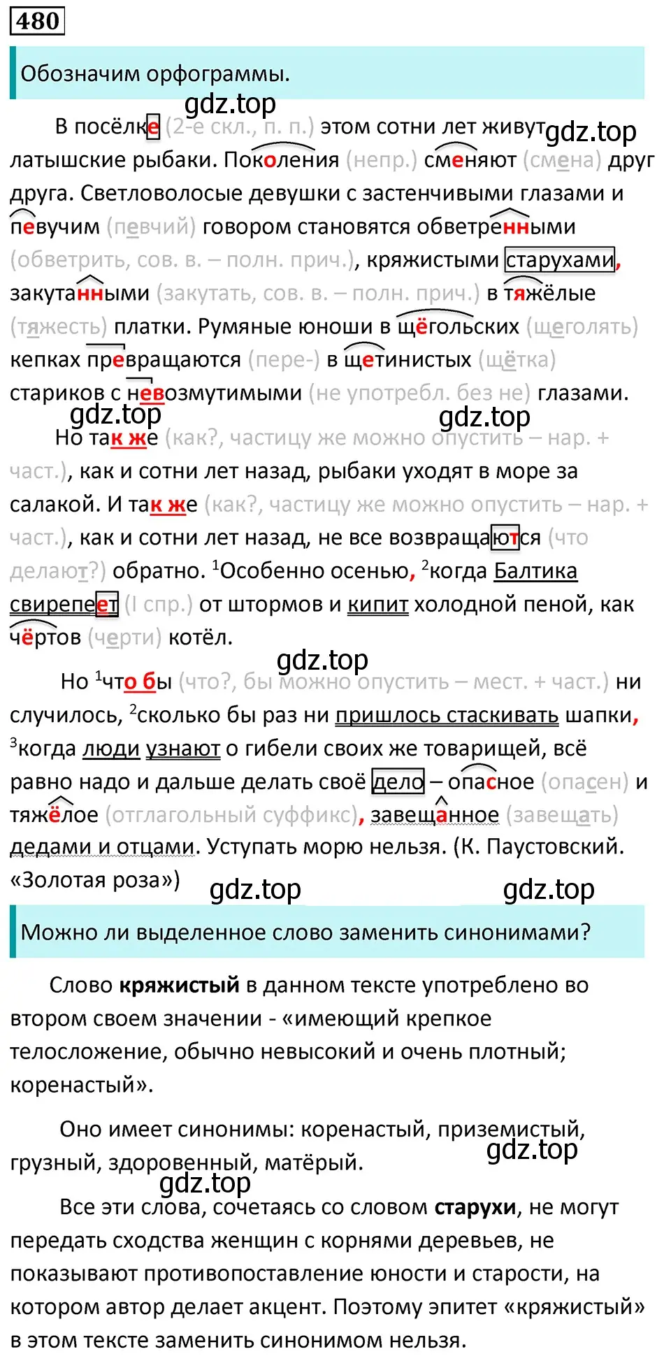 Решение 5. номер 480 (страница 66) гдз по русскому языку 7 класс Ладыженская, Баранов, учебник 2 часть