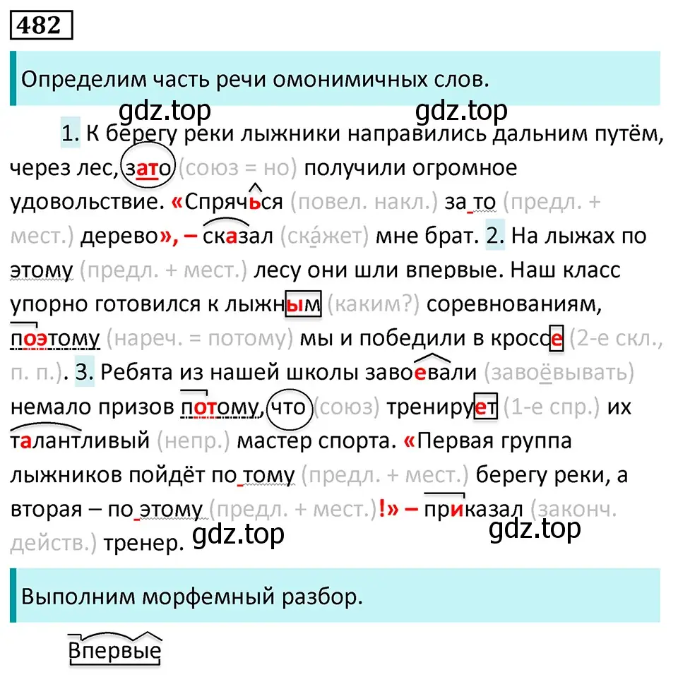 Решение 5. номер 482 (страница 66) гдз по русскому языку 7 класс Ладыженская, Баранов, учебник 2 часть