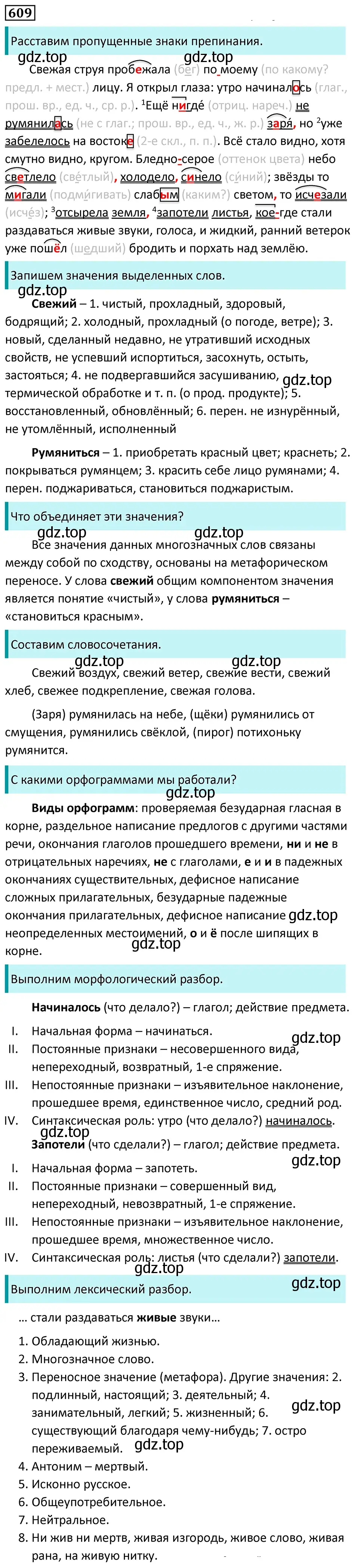 Решение 5. номер 609 (страница 128) гдз по русскому языку 7 класс Ладыженская, Баранов, учебник 2 часть