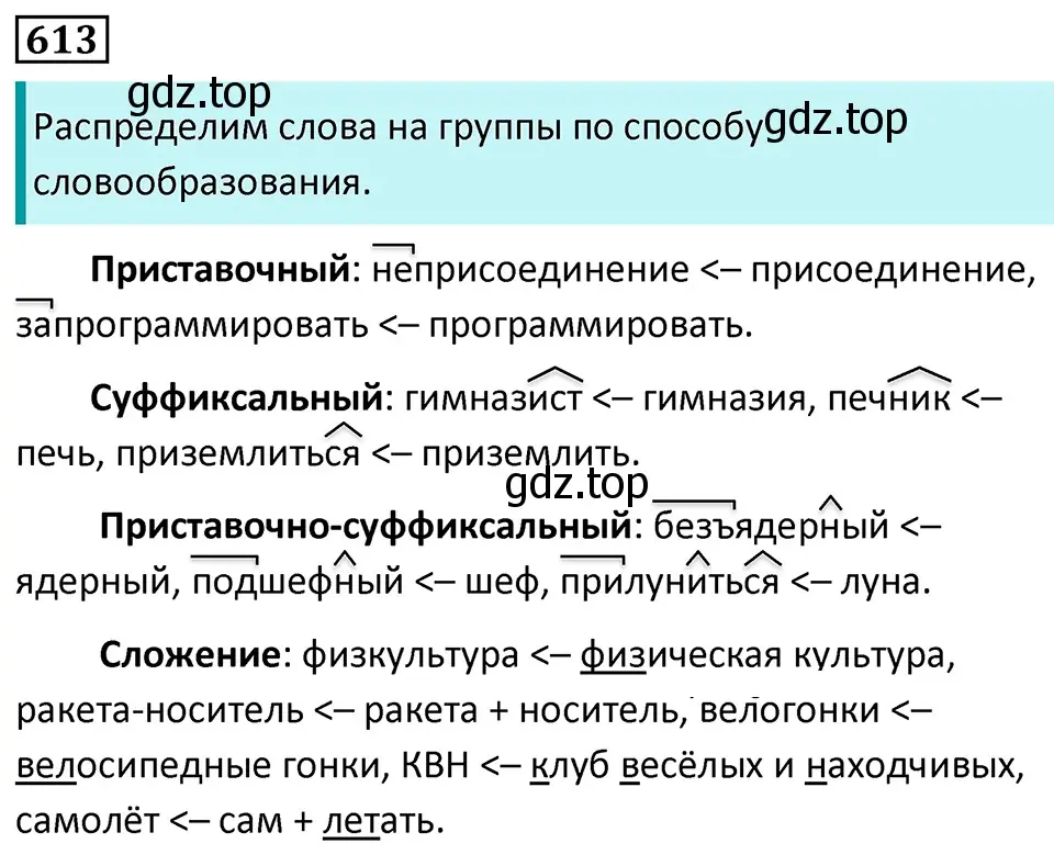 Решение 5. номер 613 (страница 130) гдз по русскому языку 7 класс Ладыженская, Баранов, учебник 2 часть