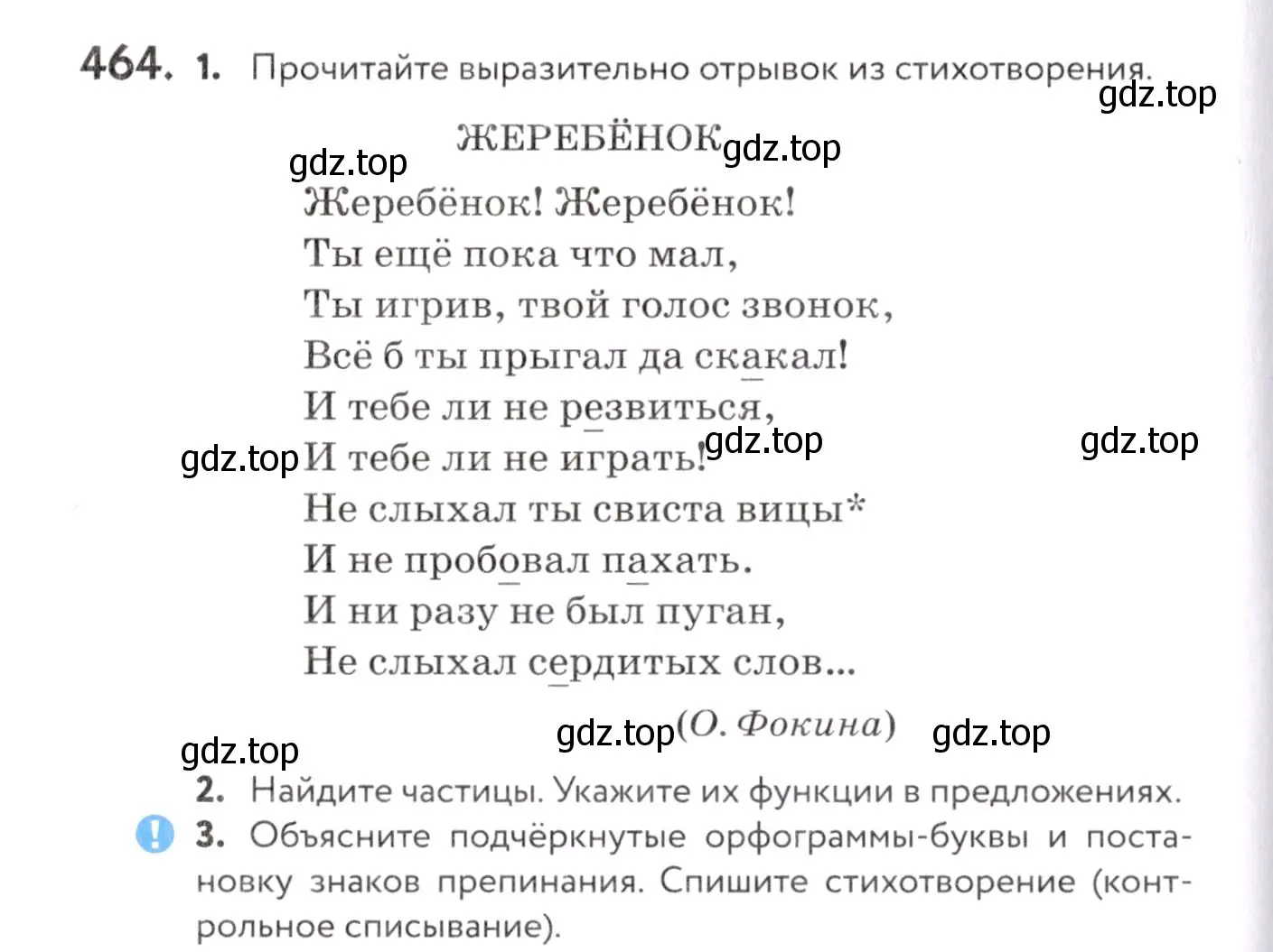 Условие номер 464 (страница 176) гдз по русскому языку 7 класс Пименова, Еремеева, учебник