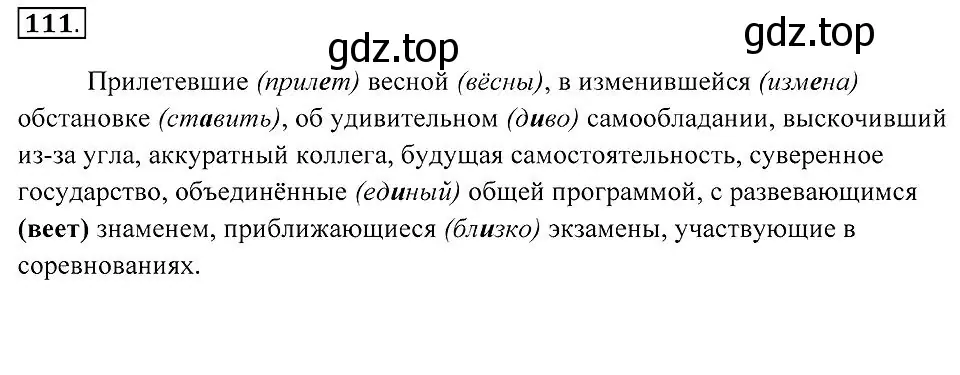 Решение 2. номер 111 (страница 44) гдз по русскому языку 7 класс Пименова, Еремеева, учебник