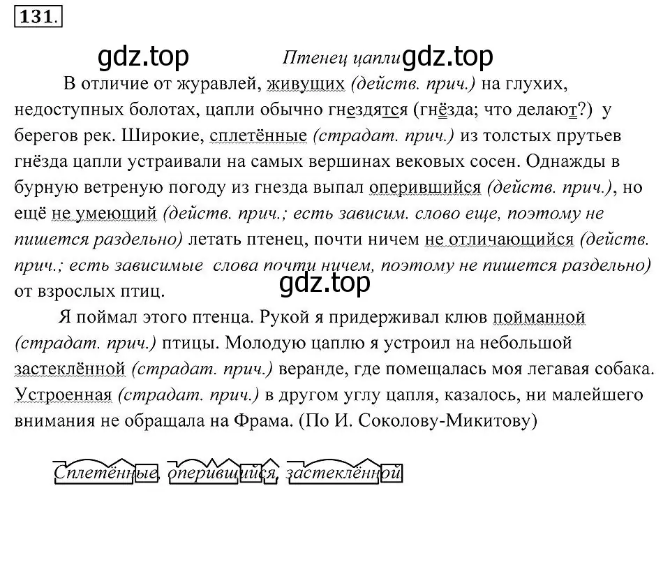 Решение 2. номер 131 (страница 53) гдз по русскому языку 7 класс Пименова, Еремеева, учебник