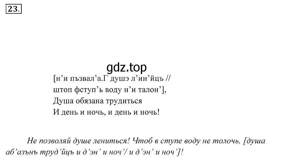 Решение 2. номер 23 (страница 14) гдз по русскому языку 7 класс Пименова, Еремеева, учебник