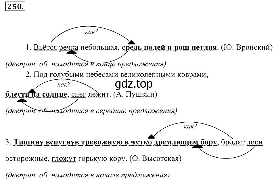 Решение 2. номер 250 (страница 95) гдз по русскому языку 7 класс Пименова, Еремеева, учебник