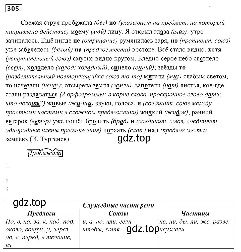 Решение 2. номер 305 (страница 116) гдз по русскому языку 7 класс Пименова, Еремеева, учебник