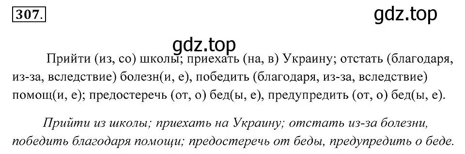 Решение 2. номер 307 (страница 117) гдз по русскому языку 7 класс Пименова, Еремеева, учебник