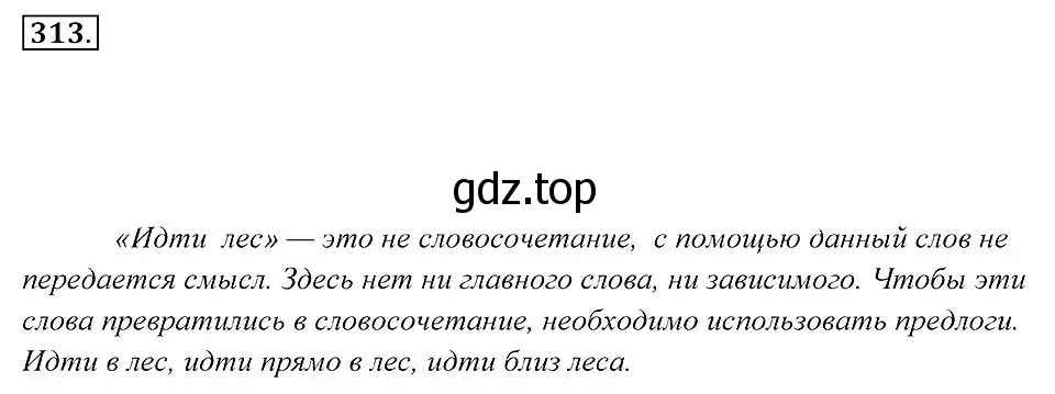 Решение 2. номер 313 (страница 119) гдз по русскому языку 7 класс Пименова, Еремеева, учебник