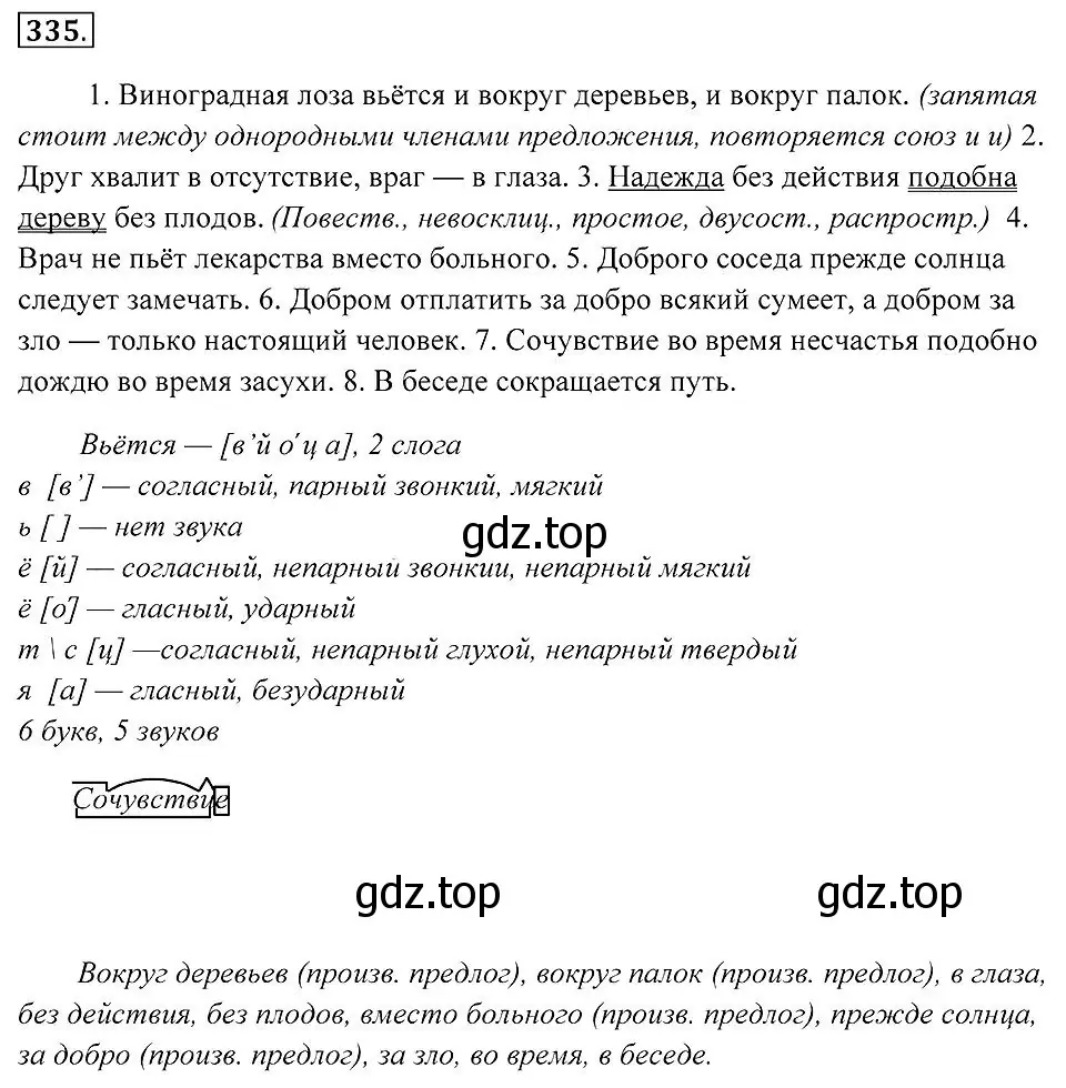 Решение 2. номер 335 (страница 127) гдз по русскому языку 7 класс Пименова, Еремеева, учебник