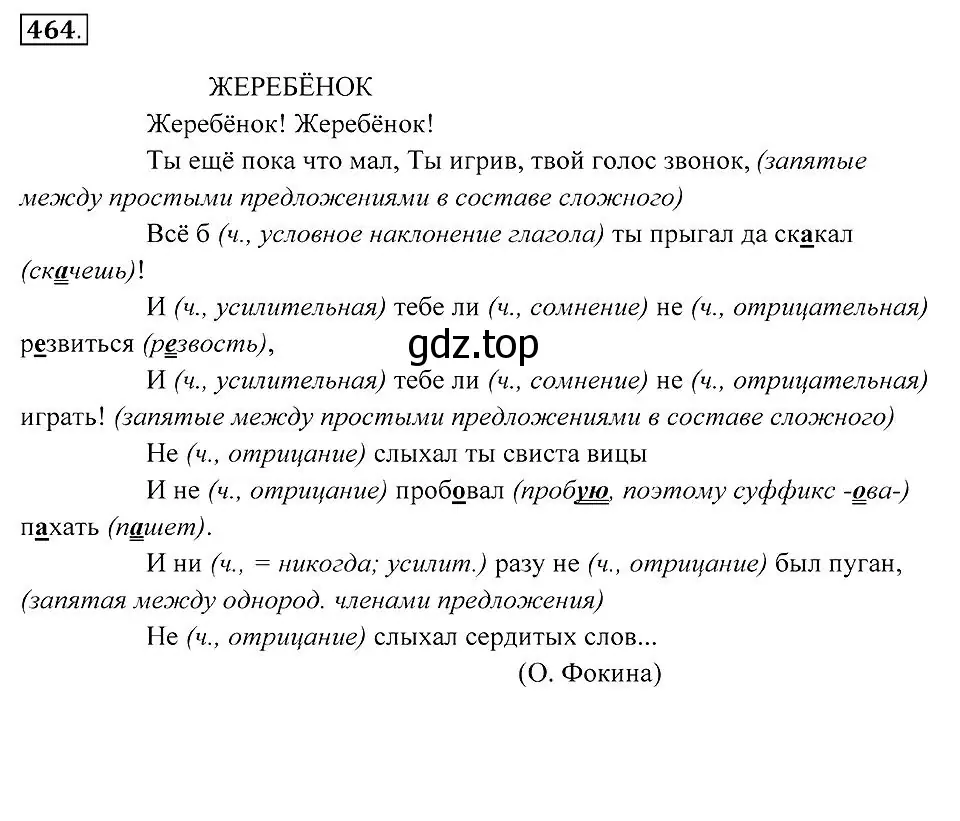 Решение 2. номер 464 (страница 176) гдз по русскому языку 7 класс Пименова, Еремеева, учебник