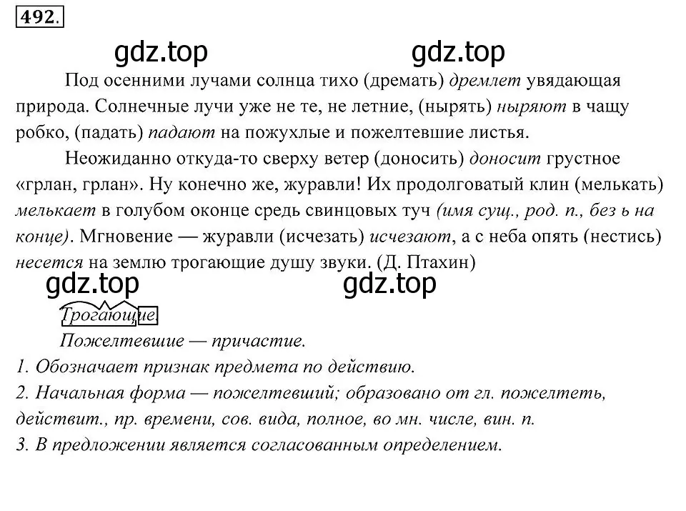 Решение 2. номер 492 (страница 187) гдз по русскому языку 7 класс Пименова, Еремеева, учебник