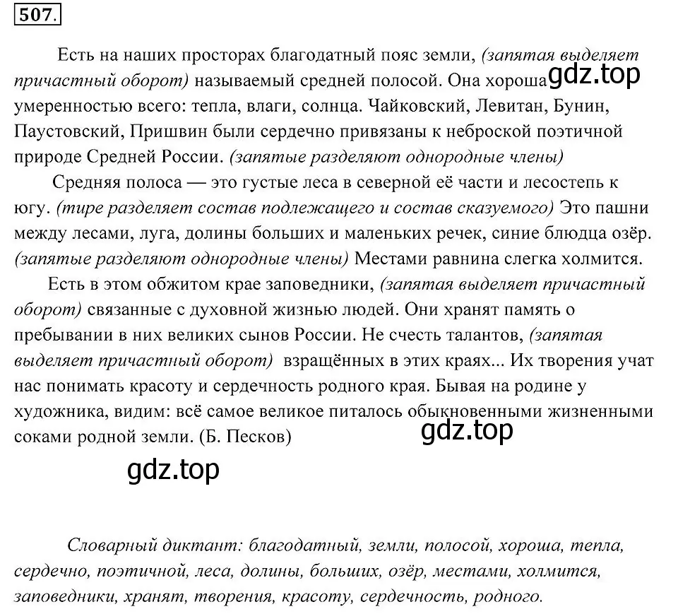 Решение 2. номер 507 (страница 193) гдз по русскому языку 7 класс Пименова, Еремеева, учебник