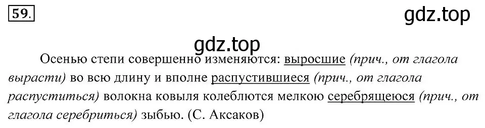 Решение 2. номер 59 (страница 26) гдз по русскому языку 7 класс Пименова, Еремеева, учебник