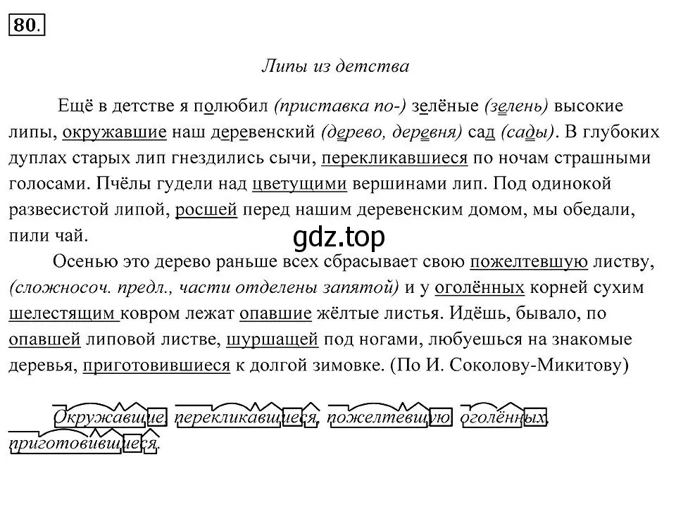 Решение 2. номер 80 (страница 33) гдз по русскому языку 7 класс Пименова, Еремеева, учебник