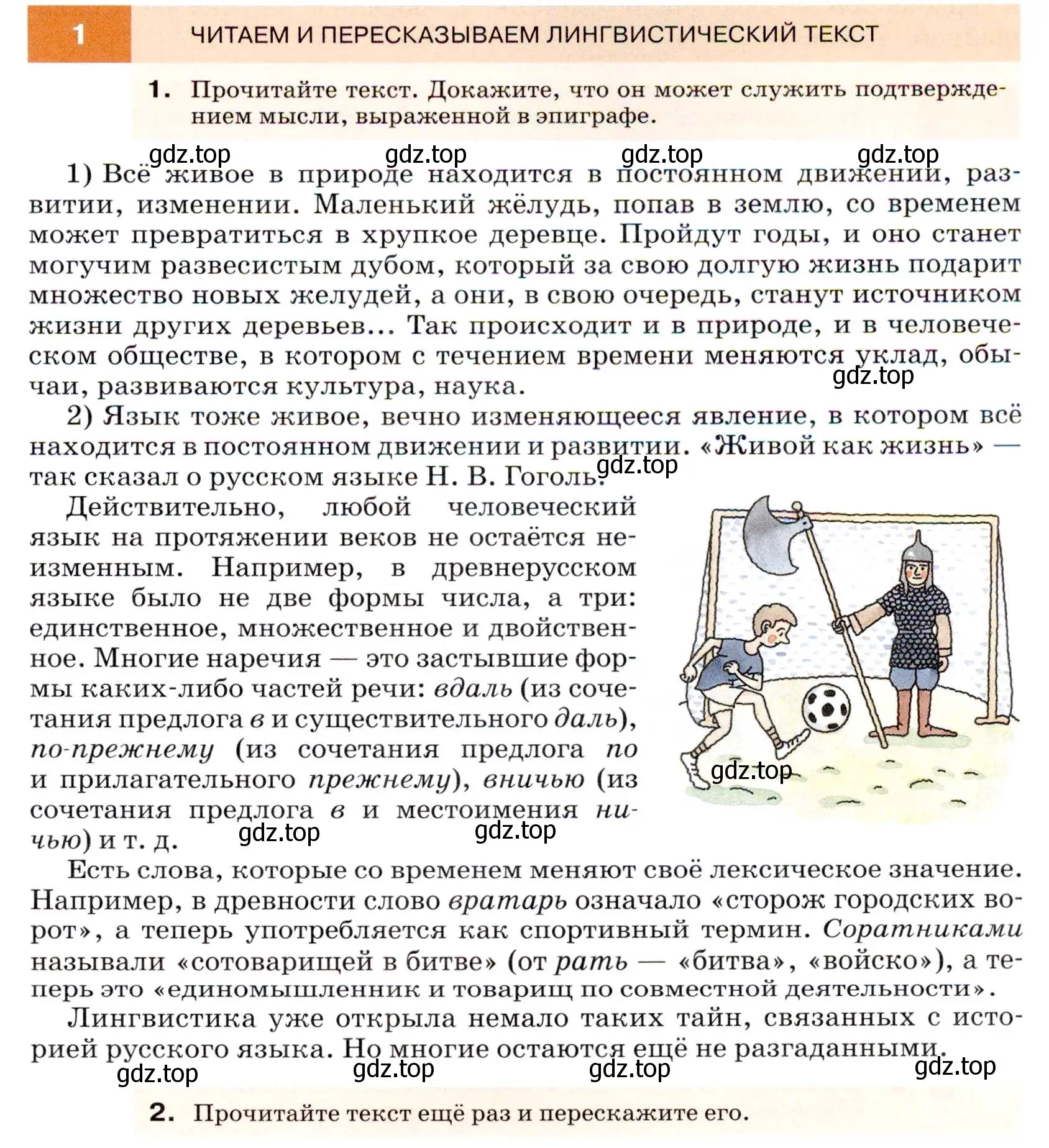 Условие номер 1 (страница 5) гдз по русскому языку 7 класс Разумовская, Львова, учебник