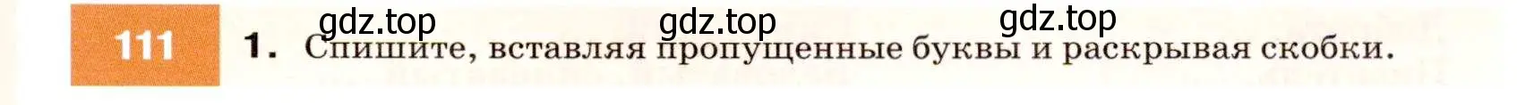 Условие номер 111 (страница 41) гдз по русскому языку 7 класс Разумовская, Львова, учебник