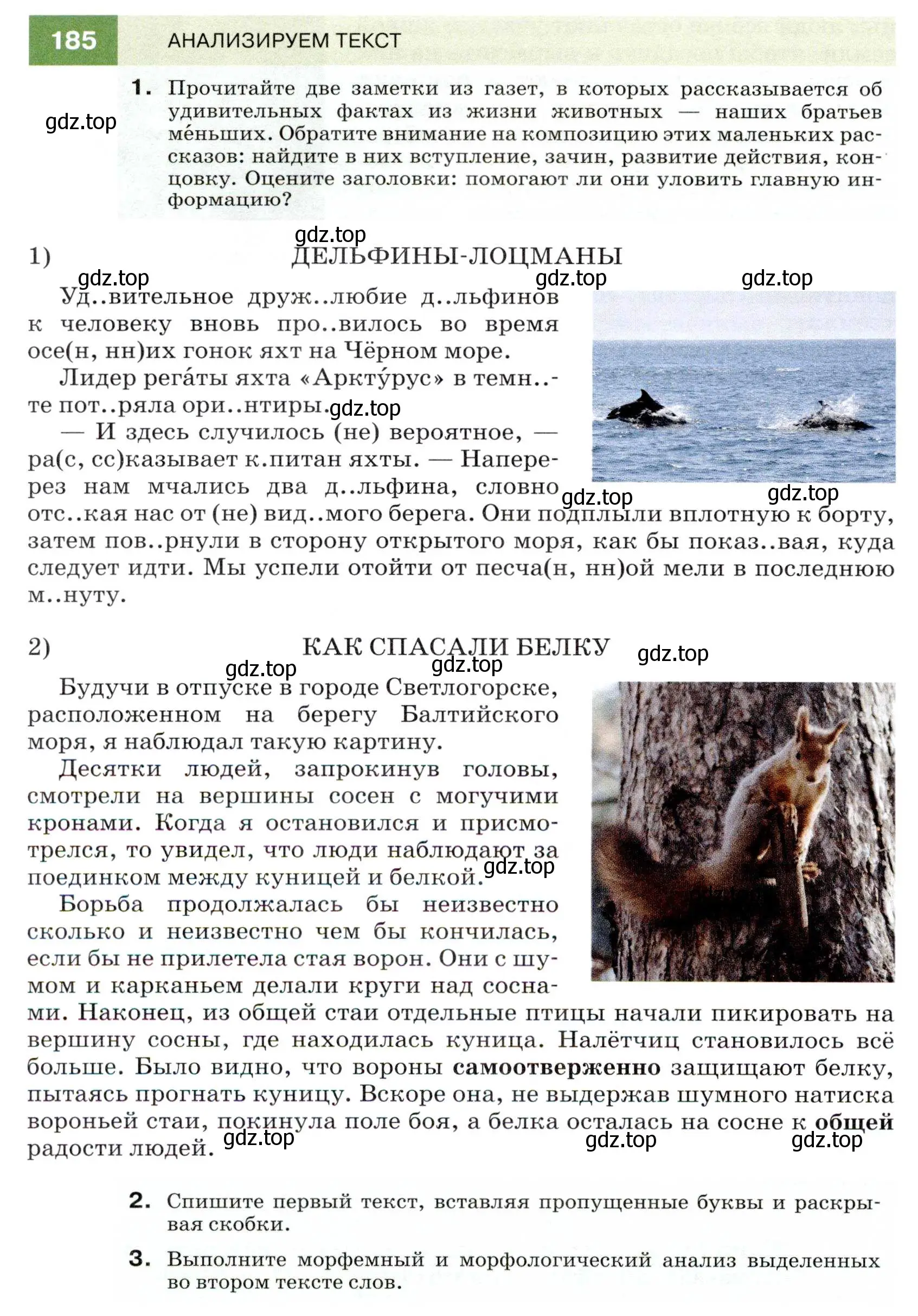 Условие номер 185 (страница 66) гдз по русскому языку 7 класс Разумовская, Львова, учебник