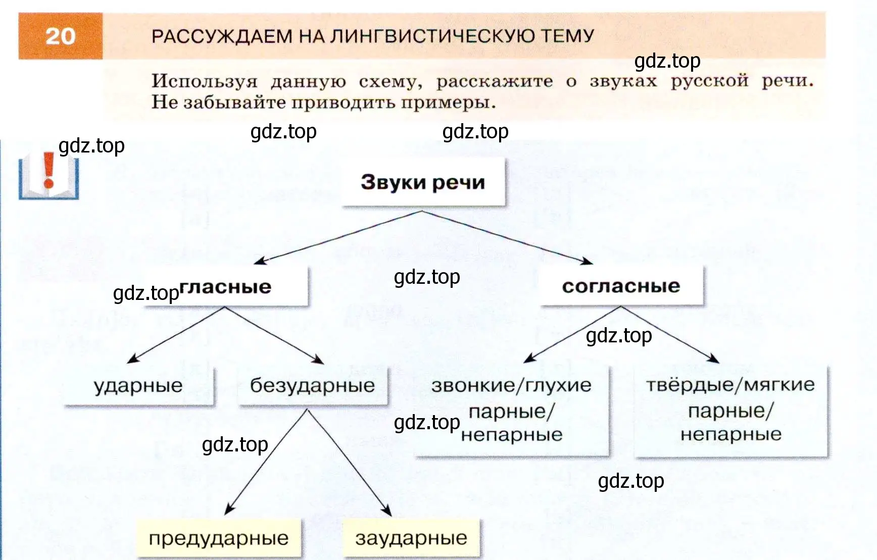 Условие номер 20 (страница 13) гдз по русскому языку 7 класс Разумовская, Львова, учебник