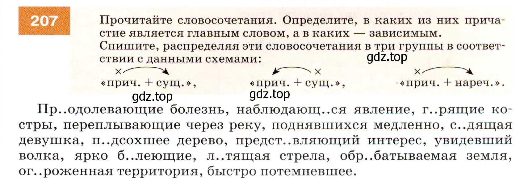 Условие номер 207 (страница 75) гдз по русскому языку 7 класс Разумовская, Львова, учебник