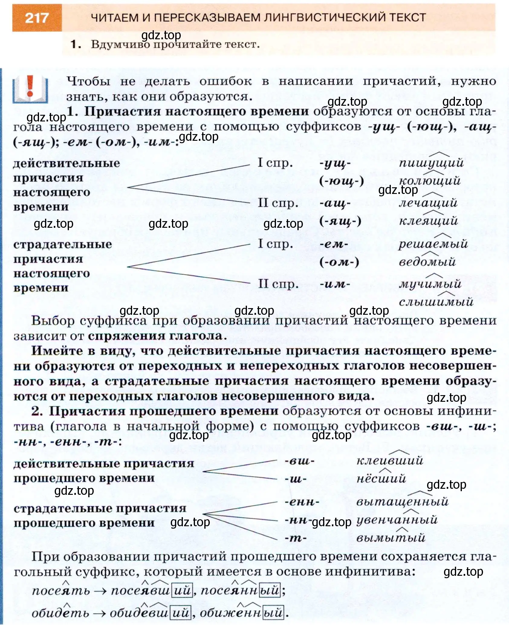 Условие номер 217 (страница 80) гдз по русскому языку 7 класс Разумовская, Львова, учебник