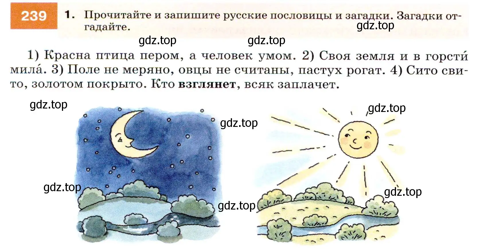 Условие номер 239 (страница 88) гдз по русскому языку 7 класс Разумовская, Львова, учебник