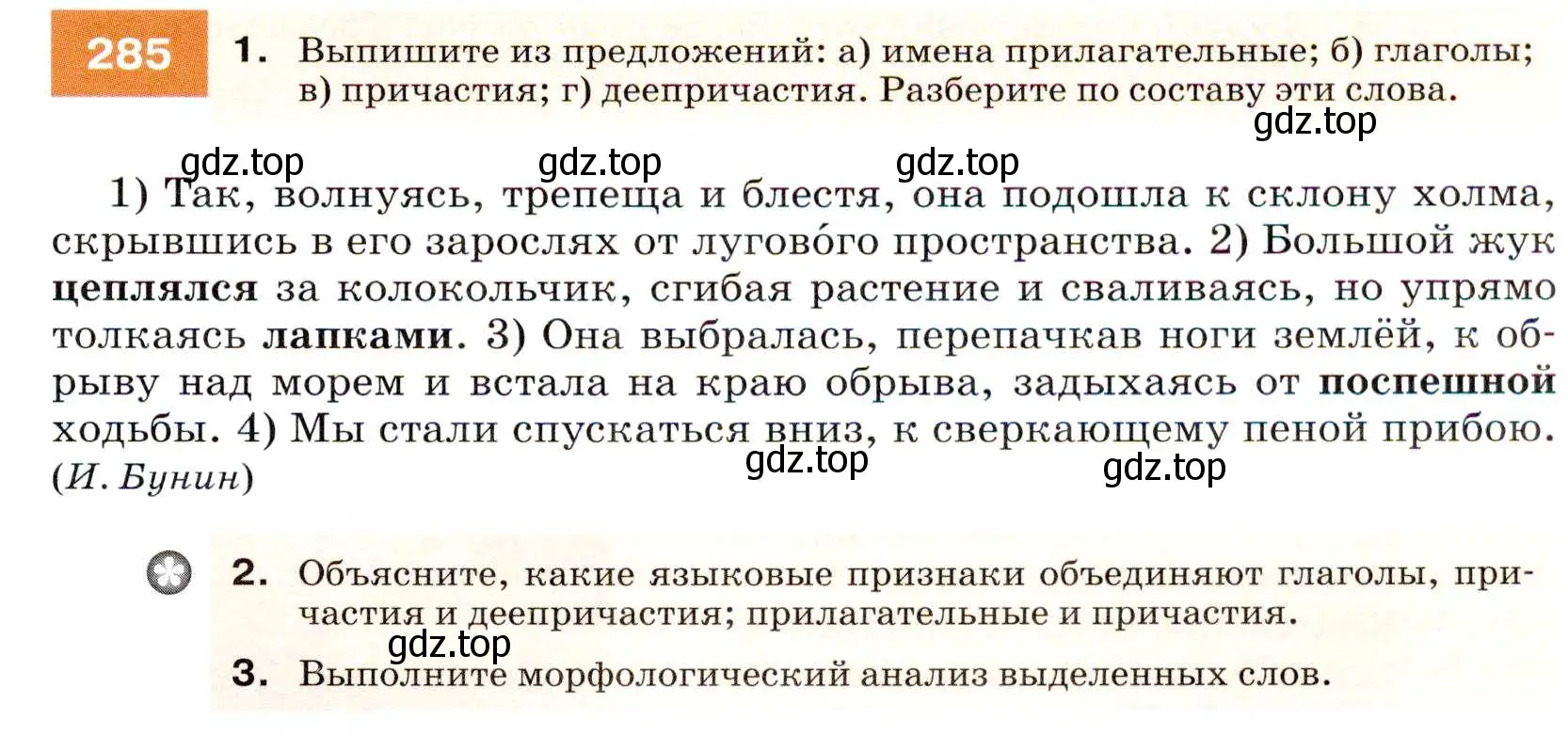 Условие номер 285 (страница 107) гдз по русскому языку 7 класс Разумовская, Львова, учебник