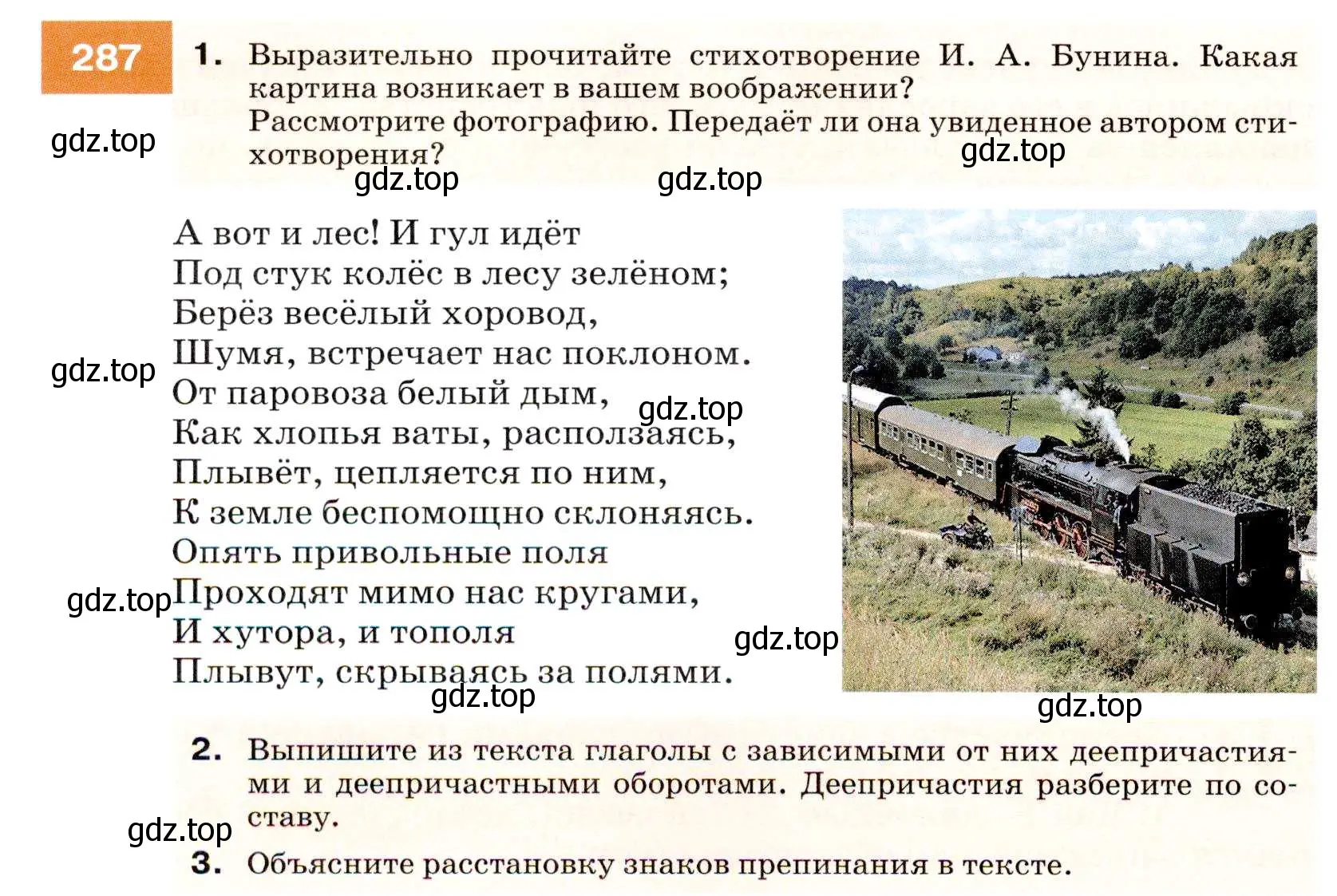 Условие номер 287 (страница 108) гдз по русскому языку 7 класс Разумовская, Львова, учебник