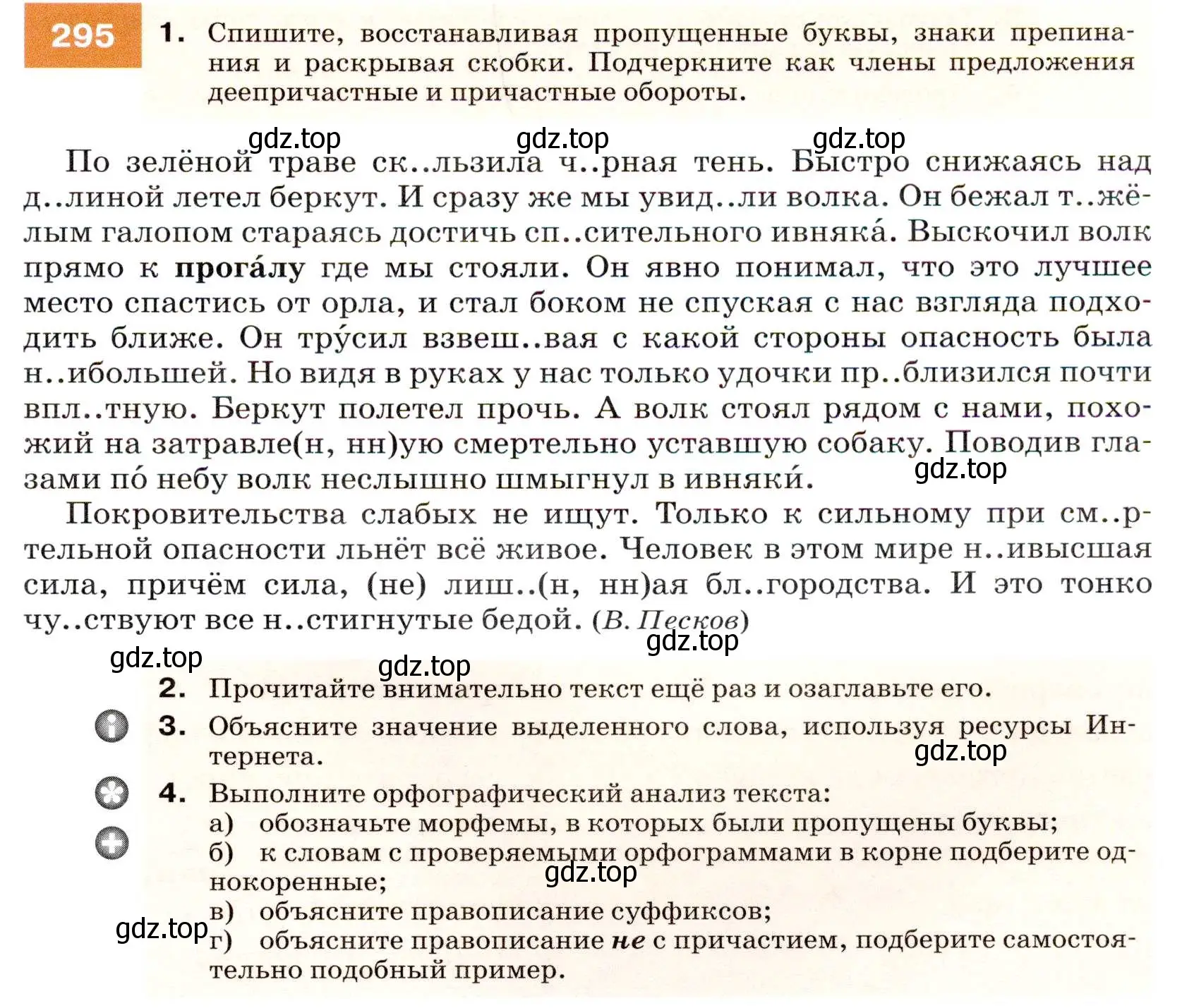 Условие номер 295 (страница 111) гдз по русскому языку 7 класс Разумовская, Львова, учебник