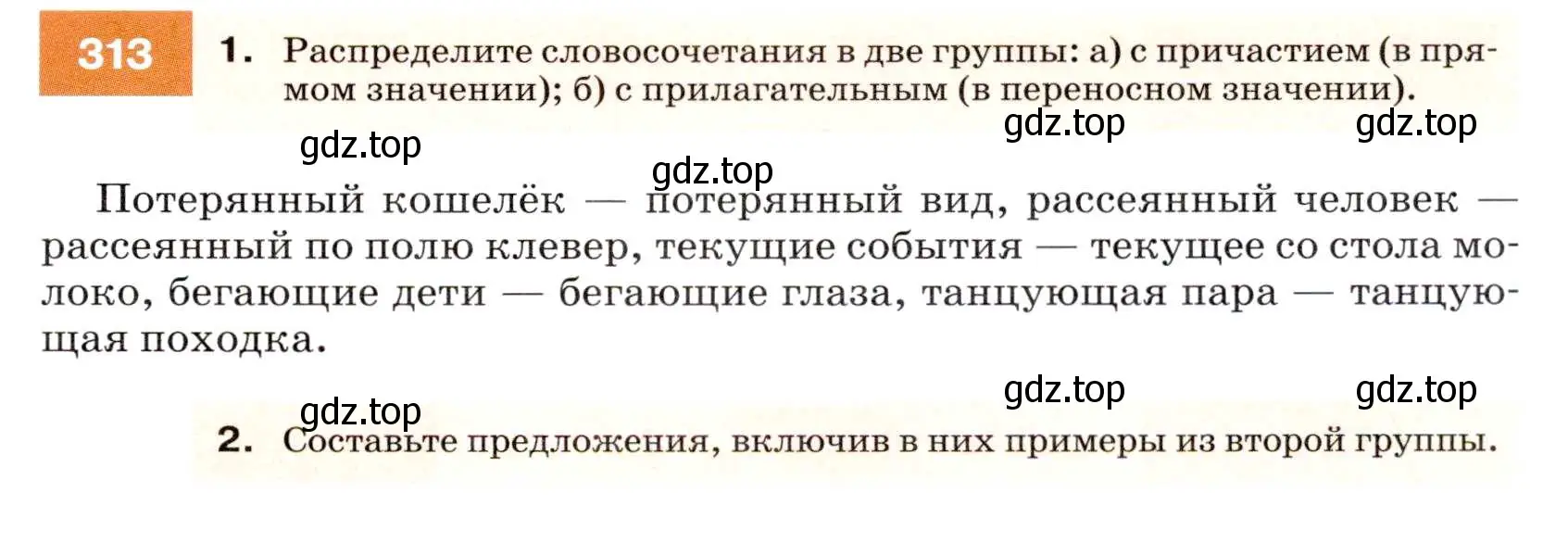 Условие номер 313 (страница 119) гдз по русскому языку 7 класс Разумовская, Львова, учебник