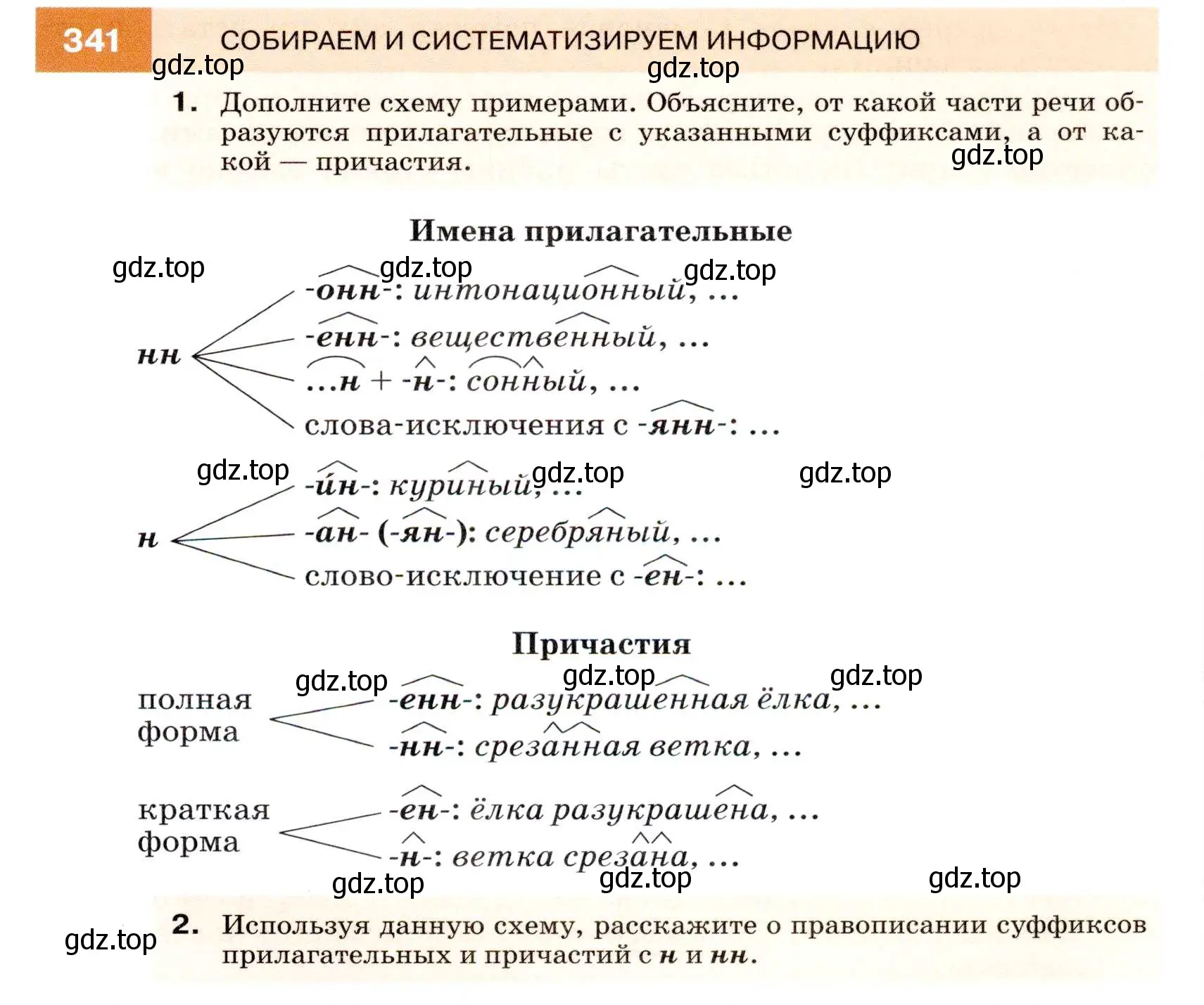 Условие номер 341 (страница 129) гдз по русскому языку 7 класс Разумовская, Львова, учебник