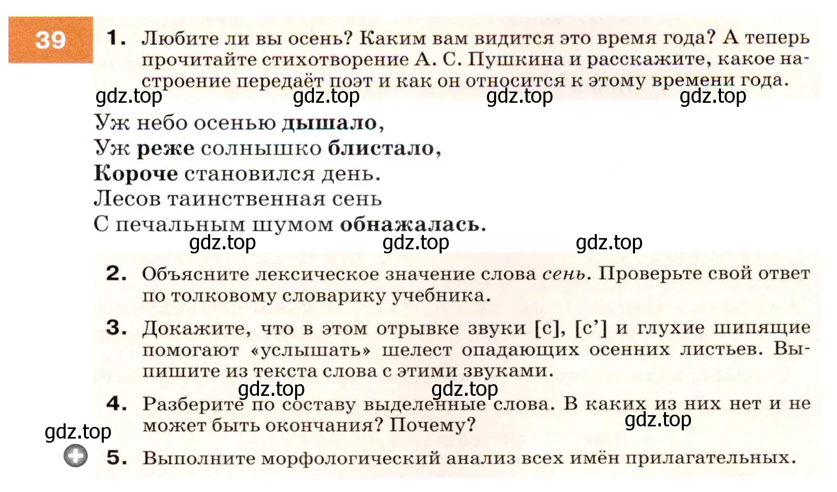 Условие номер 39 (страница 19) гдз по русскому языку 7 класс Разумовская, Львова, учебник