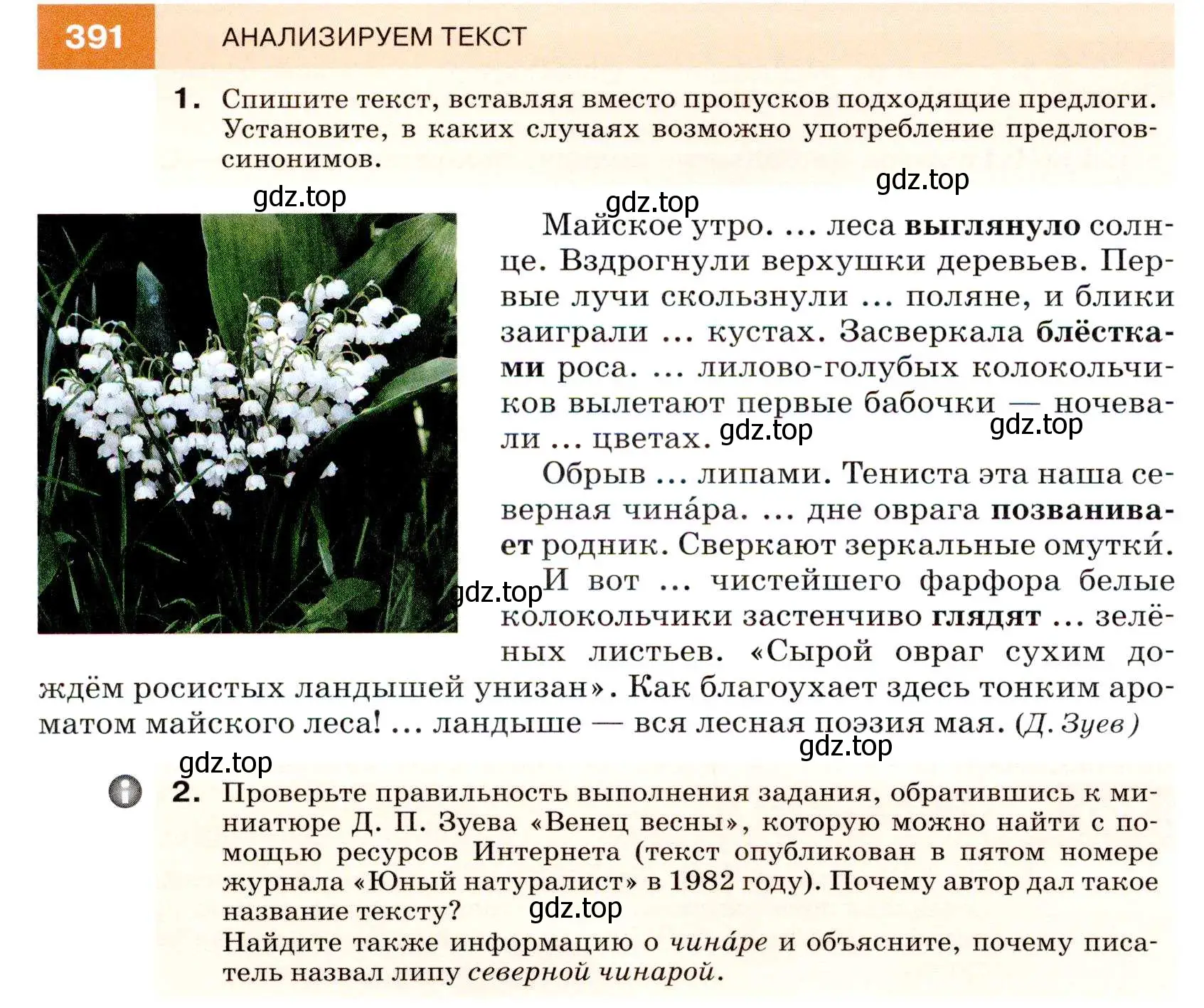 Условие номер 391 (страница 148) гдз по русскому языку 7 класс Разумовская, Львова, учебник