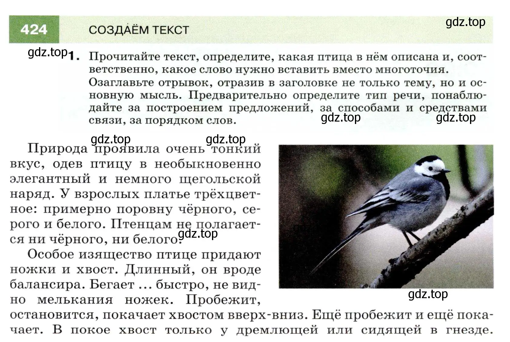 Условие номер 424 (страница 161) гдз по русскому языку 7 класс Разумовская, Львова, учебник