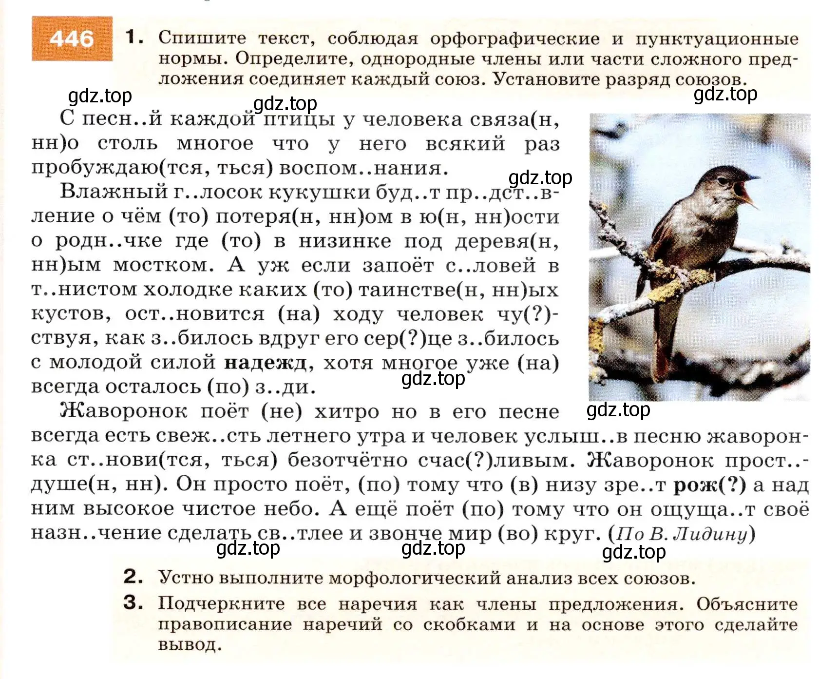 Условие номер 446 (страница 169) гдз по русскому языку 7 класс Разумовская, Львова, учебник