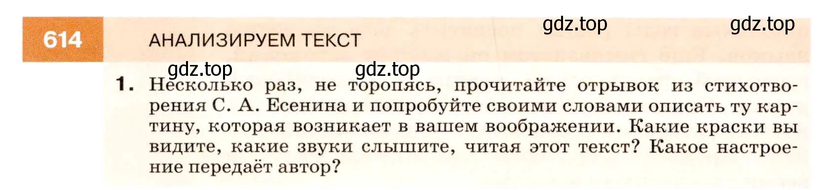 Условие номер 614 (страница 232) гдз по русскому языку 7 класс Разумовская, Львова, учебник