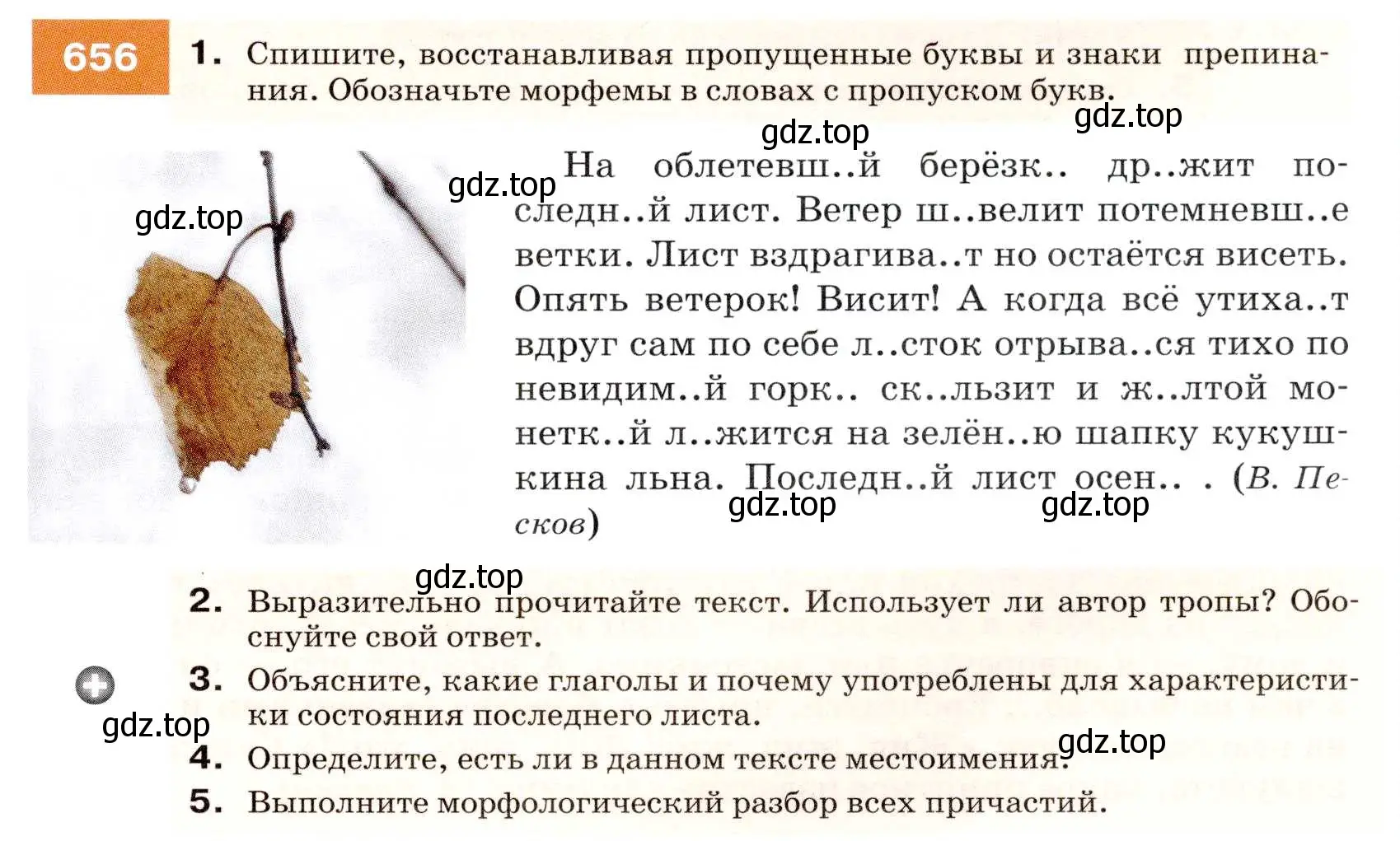 Условие номер 656 (страница 249) гдз по русскому языку 7 класс Разумовская, Львова, учебник