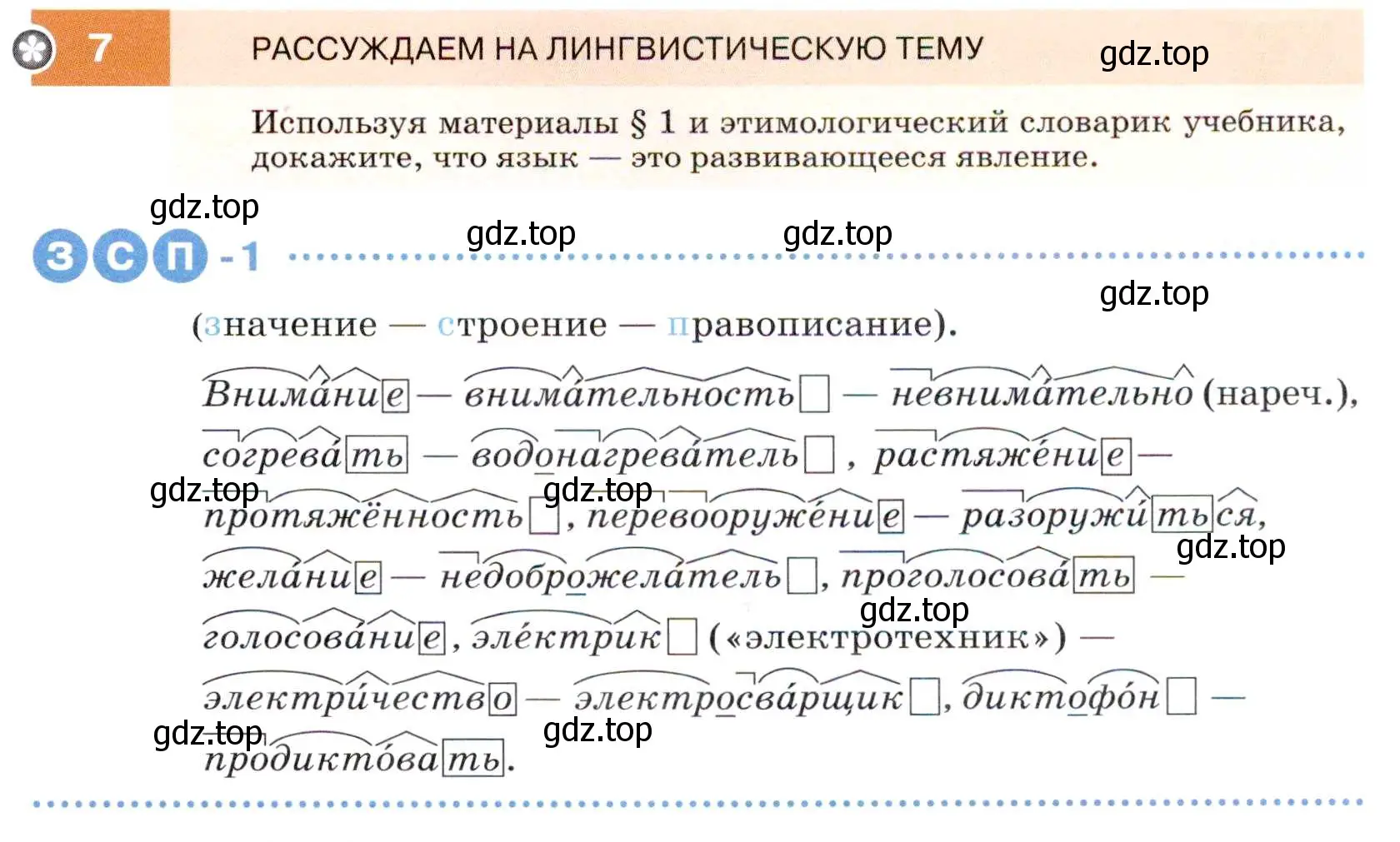 Условие номер 7 (страница 7) гдз по русскому языку 7 класс Разумовская, Львова, учебник