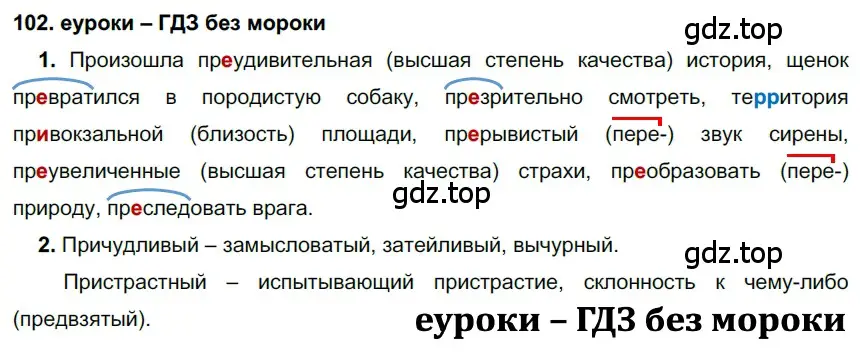 Решение 2. номер 102 (страница 39) гдз по русскому языку 7 класс Разумовская, Львова, учебник