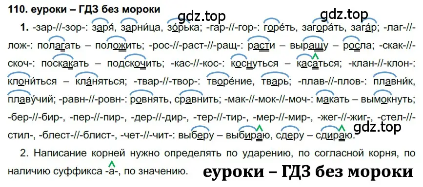 Решение 2. номер 110 (страница 41) гдз по русскому языку 7 класс Разумовская, Львова, учебник