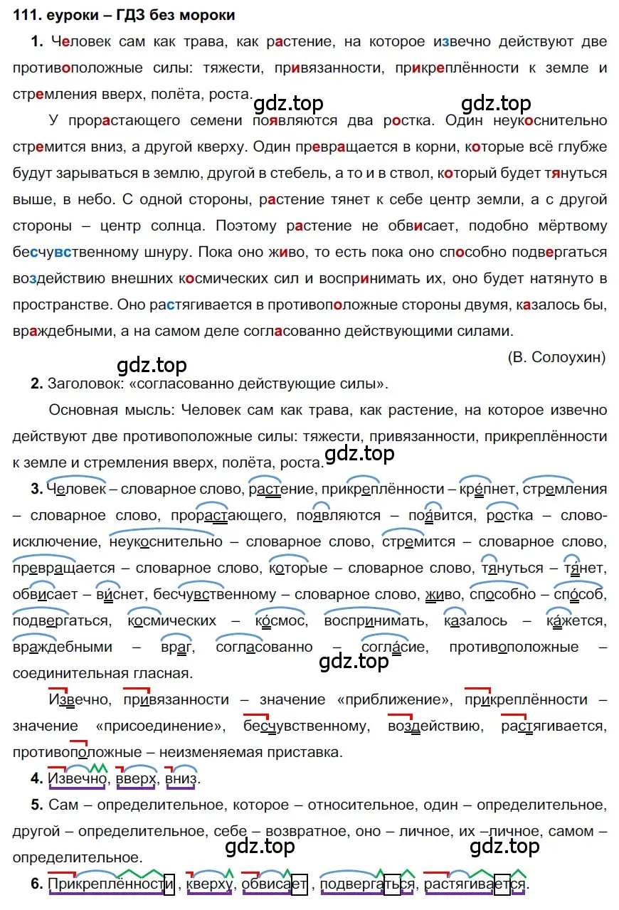 Решение 2. номер 111 (страница 41) гдз по русскому языку 7 класс Разумовская, Львова, учебник