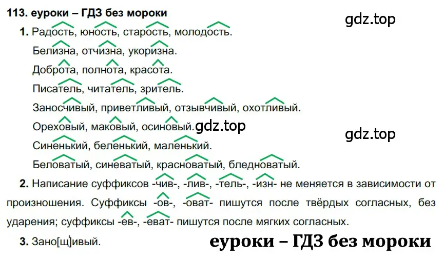 Решение 2. номер 113 (страница 42) гдз по русскому языку 7 класс Разумовская, Львова, учебник