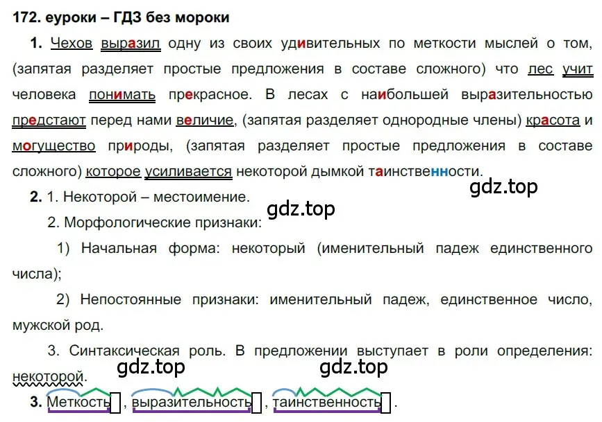 Решение 2. номер 172 (страница 60) гдз по русскому языку 7 класс Разумовская, Львова, учебник