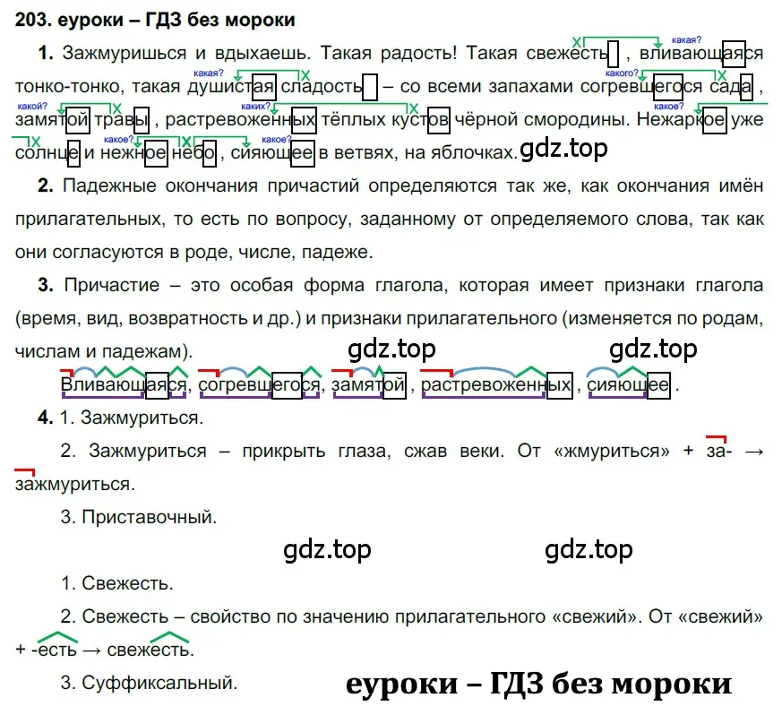 Решение 2. номер 203 (страница 74) гдз по русскому языку 7 класс Разумовская, Львова, учебник