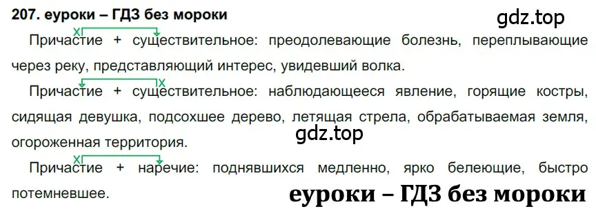 Решение 2. номер 207 (страница 75) гдз по русскому языку 7 класс Разумовская, Львова, учебник