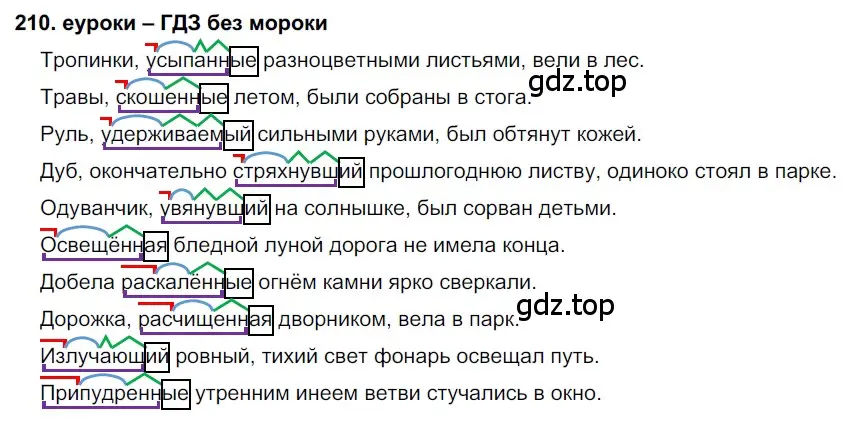 Решение 2. номер 210 (страница 76) гдз по русскому языку 7 класс Разумовская, Львова, учебник