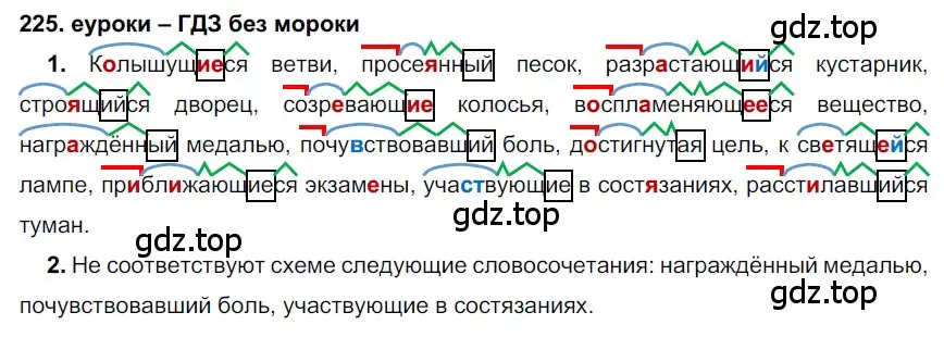 Решение 2. номер 225 (страница 82) гдз по русскому языку 7 класс Разумовская, Львова, учебник